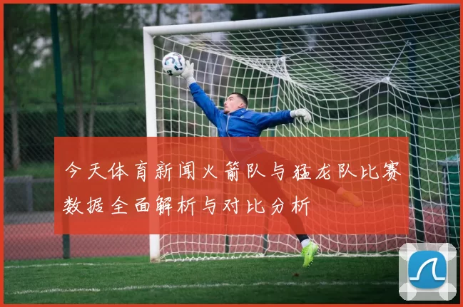 今天体育新闻火箭队与猛龙队比赛数据全面解析与对比分析